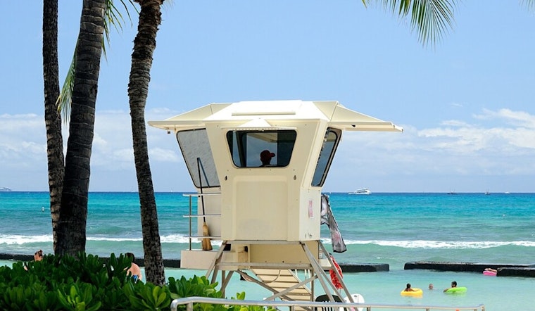Lifeguard Boss Who Sparred With Mayor Back In Hunt For Honolulu Ocean Job