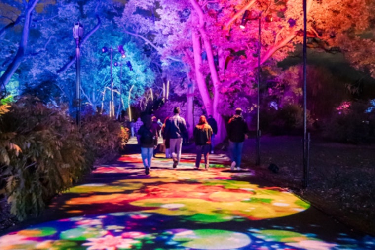 "Lightscape" Illuminates Brooklyn Botanic Garden with Enchanting Winter Light Show