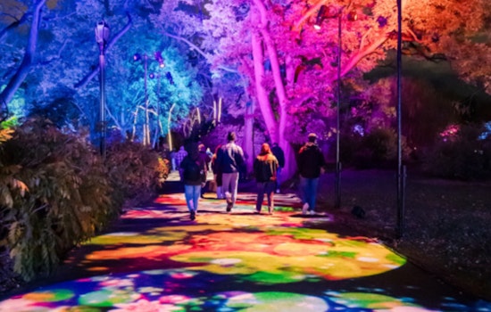 "Lightscape" Illuminates Brooklyn Botanic Garden with Enchanting Winter Light Show