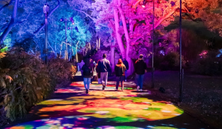"Lightscape" Illuminates Brooklyn Botanic Garden with Enchanting Winter Light Show