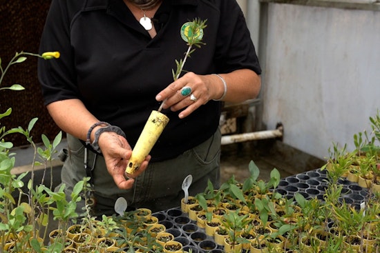 Locked-Up Green Thumbs Help Restore Las Vegas Desert
