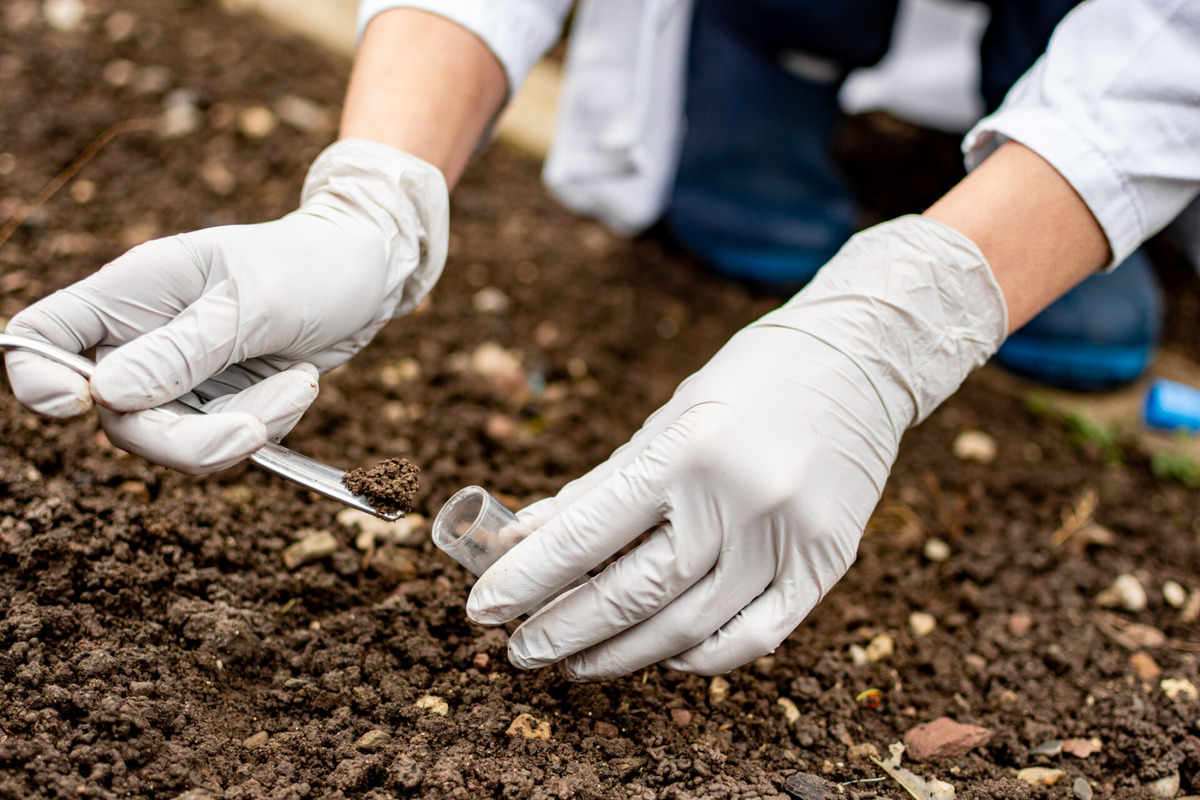 Los Angeles County Expands Free Soil Testing to Include Palisades Fire