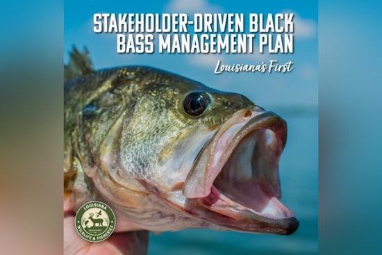 Louisiana's First Black Bass Management Plan Takes Shape with Angler and Stakeholder Involvement