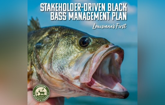 Louisiana's First Black Bass Management Plan Takes Shape with Angler and Stakeholder Involvement