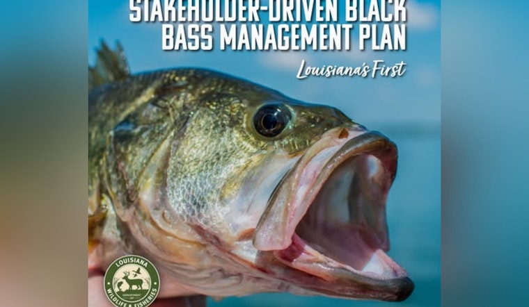 Louisiana's First Black Bass Management Plan Takes Shape with Angler and Stakeholder Involvement