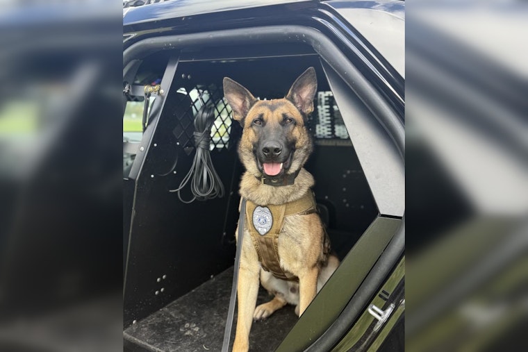 Lynnwood Welcomes Energetic K9 Dex to Police Force Following State Certification