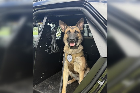 Lynnwood Welcomes Energetic K9 Dex to Police Force Following State Certification