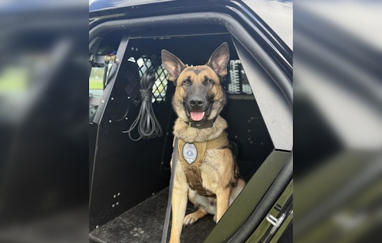 Lynnwood Welcomes Energetic K9 Dex to Police Force Following State Certification
