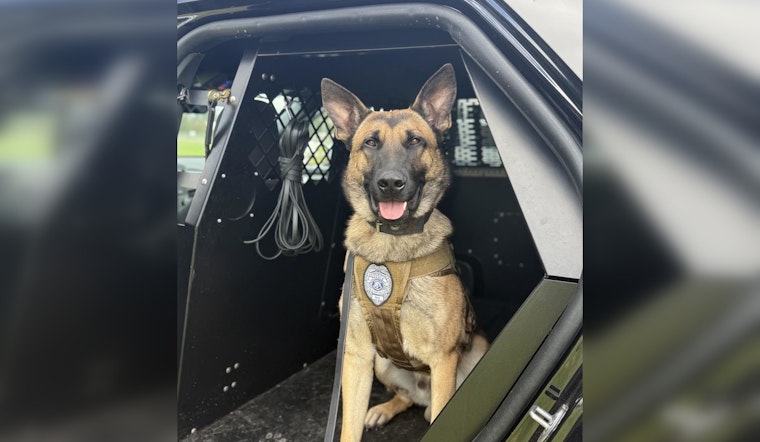 Lynnwood Welcomes Energetic K9 Dex to Police Force Following State Certification