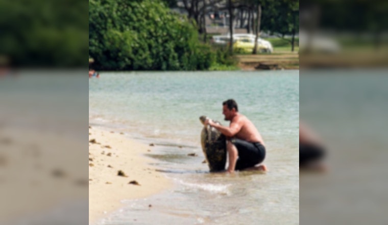 Man Lifts Hawaiian Sea Turtle for Tourist Photo, Setting Off Outrage and State Probe