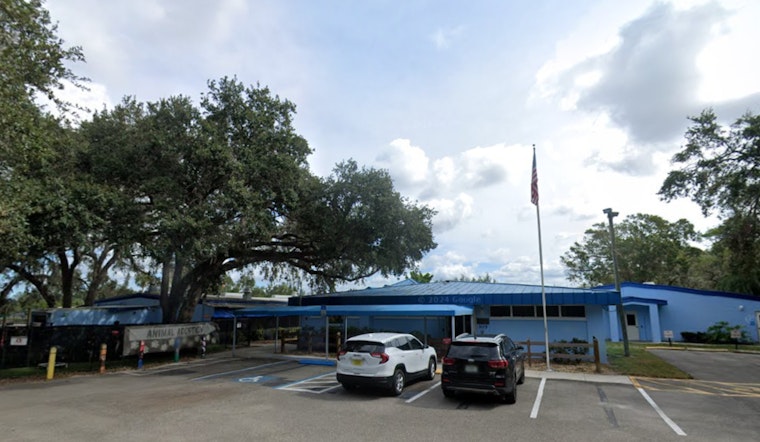 Manatee County to Host Inaugural Black Friday Adoption Event in Palmetto, Florida