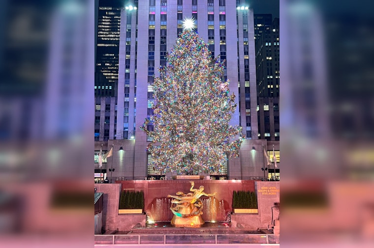 Manhattan Ushers in Festive Season with Arrival of Iconic Rockefeller Center Christmas Tree from East Greenbush