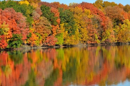 Maple Grove Unveils 'Moments' Initiative: A Social Media Ode to Community and Art