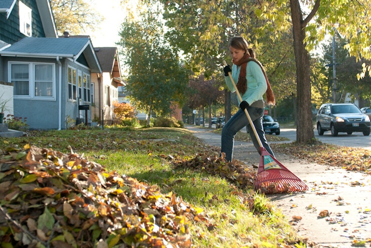 Maple Grove Yardwaste Site Closing Soon: Residents Urged to Dispose of Leaves Responsibly Before November 30 Deadline