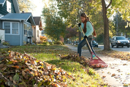 Maple Grove Yardwaste Site Closing Soon: Residents Urged to Dispose of Leaves Responsibly Before November 30 Deadline