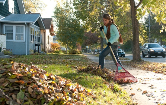 Maple Grove Yardwaste Site Closing Soon: Residents Urged to Dispose of Leaves Responsibly Before November 30 Deadline