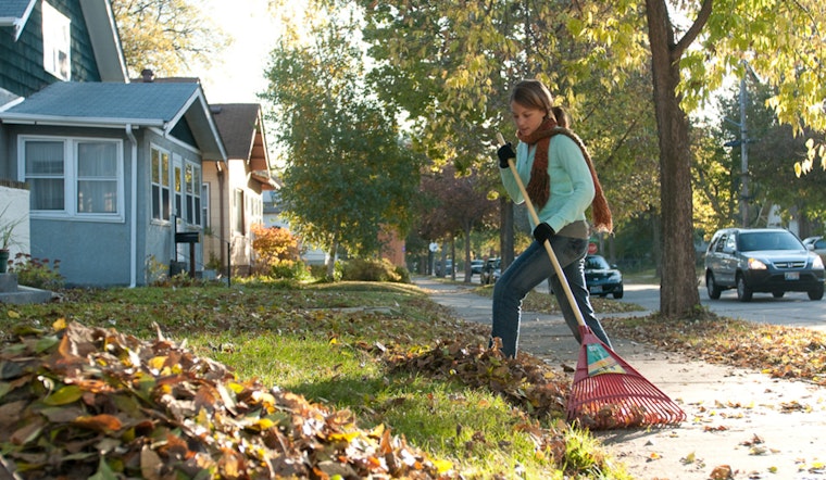 Maple Grove Yardwaste Site Closing Soon: Residents Urged to Dispose of Leaves Responsibly Before November 30 Deadline