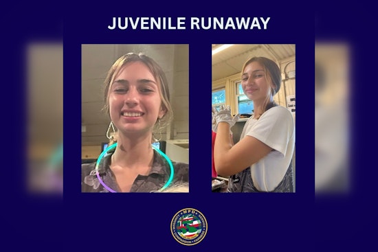 Maui Police Seek Public's Help in Locating Missing 15-Year-Old Maile Vinge From Makawao