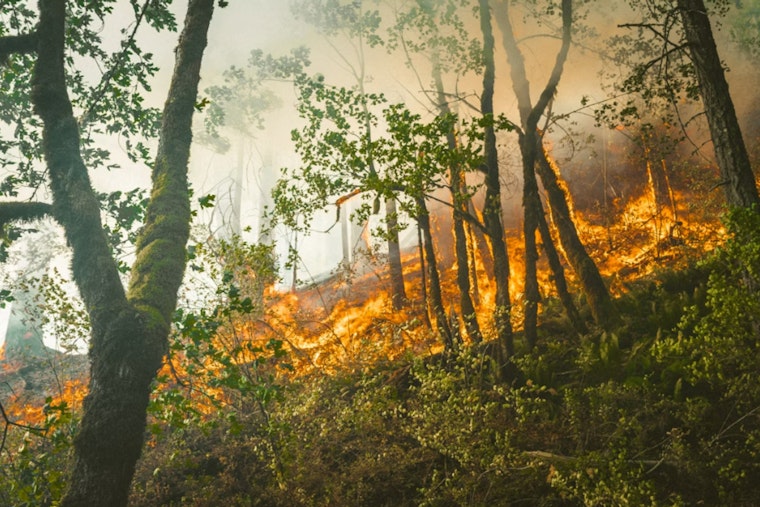 Maui Residents Told To 'Triage' Homes As Wildfire Threat Grows