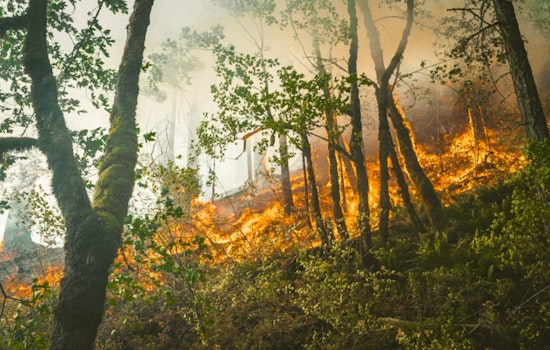 Maui Residents Told To 'Triage' Homes As Wildfire Threat Grows
