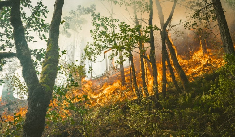 Maui Residents Told To 'Triage' Homes As Wildfire Threat Grows