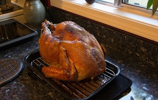 Mecklenburg County Teams Up with Nourish Up and Food Lion to Donate 1,000 Turkeys to Families in Need