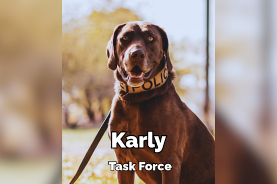 Meet K9 Karly: St. George Police Department's Furry Narcotics Detective Winning Hearts