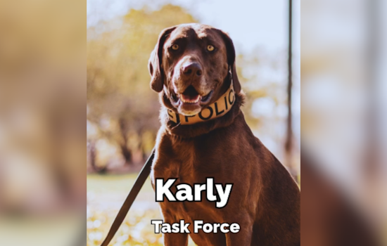 Meet K9 Karly: St. George Police Department's Furry Narcotics Detective Winning Hearts
