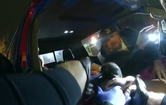 Melvindale Officers Turn Traffic Stop Into Impromptu Birth Assistance on Oakwood Boulevard