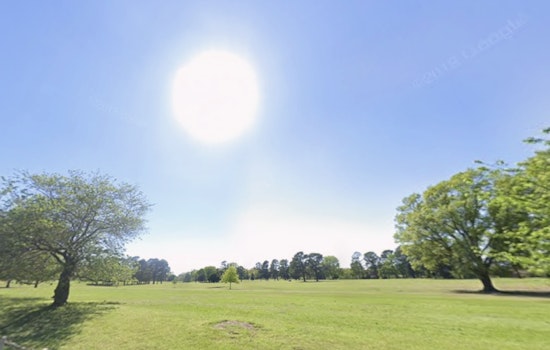 Memphis Embraces Sunny Skies and Brisk Breezes with a Side of Sporadic Showers in Week Ahead