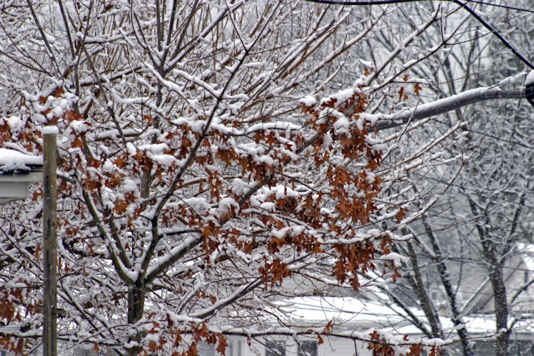 Memphis Weather Update – Mixed Conditions Expected with Frost Possible Next Week