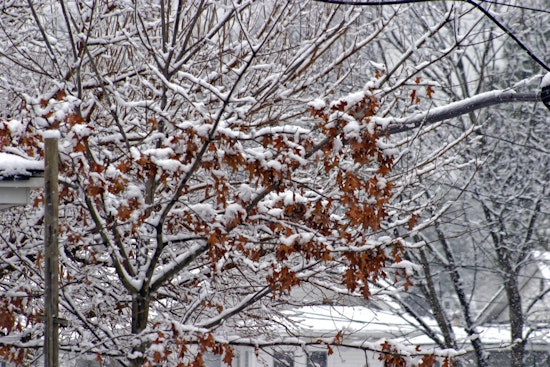 Memphis Weather Update – Mixed Conditions Expected with Frost Possible Next Week