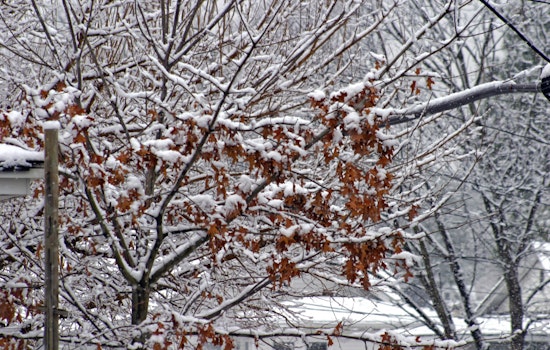 Memphis Weather Update – Mixed Conditions Expected with Frost Possible Next Week