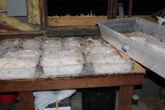 Meth Ring Using Jalapeño Shipments Dismantled in Georgia, Dozen Plead Guilty