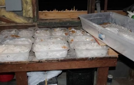 Meth Ring Using Jalapeño Shipments Dismantled in Georgia, Dozen Plead Guilty