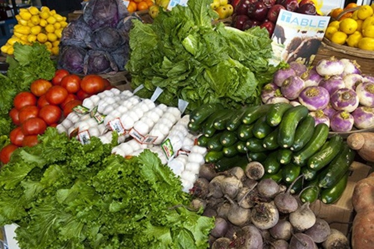 Metro Social Services Implements "Food Crisis Rapid Response Plan" in Davidson County Amid SNAP Disruption