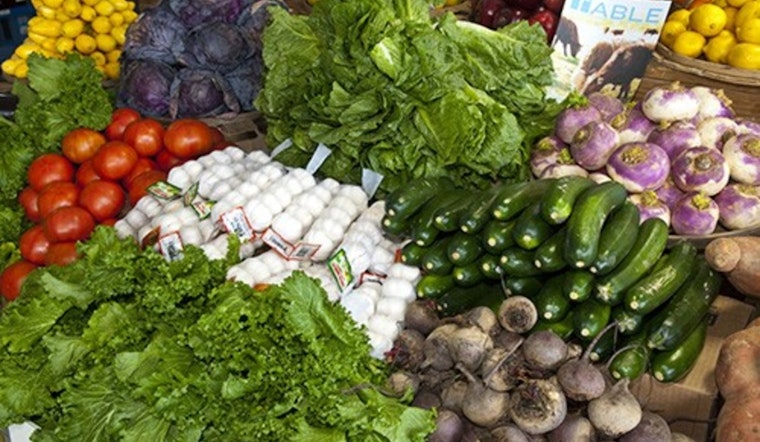 Metro Social Services Implements "Food Crisis Rapid Response Plan" in Davidson County Amid SNAP Disruption