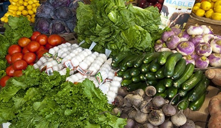 Metro Social Services Launches "Food Crisis Rapid Response Plan" in Nashville Amid SNAP Disruptions