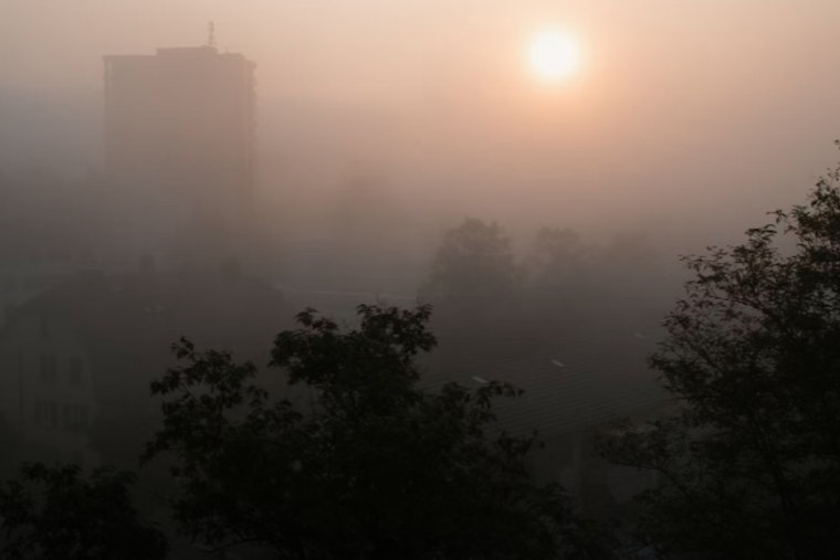 Miami Greets the Week with Foggy Mornings and a Promise of Sunny Skies Ahead