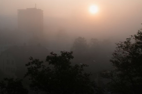 Miami Greets the Week with Foggy Mornings and a Promise of Sunny Skies Ahead
