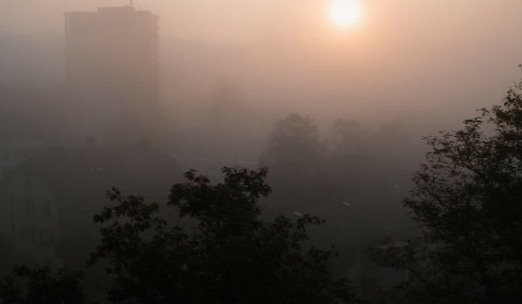 Miami Greets the Week with Foggy Mornings and a Promise of Sunny Skies Ahead