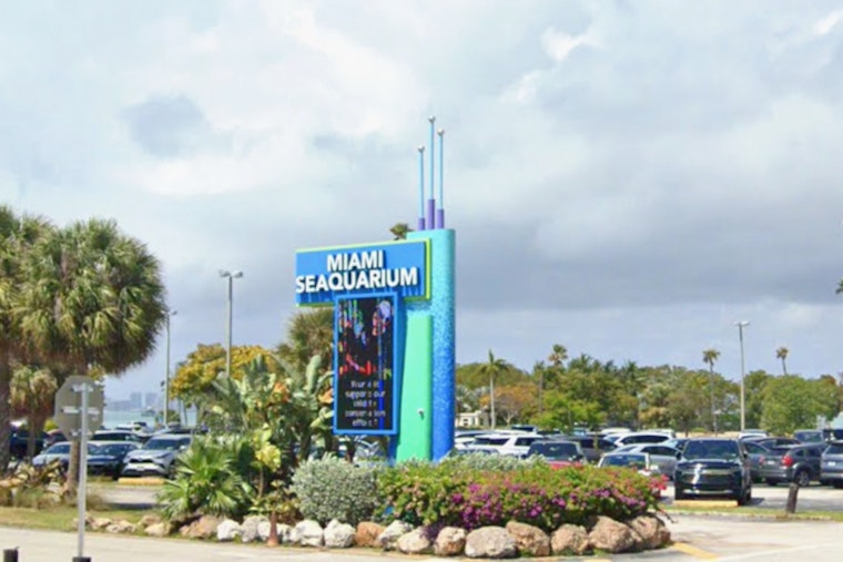 Miami Seaquarium Animals Set for Nationwide Relocation Amid Bankruptcy Proceedings