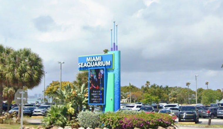 Miami Seaquarium Animals Set for Nationwide Relocation Amid Bankruptcy Proceedings