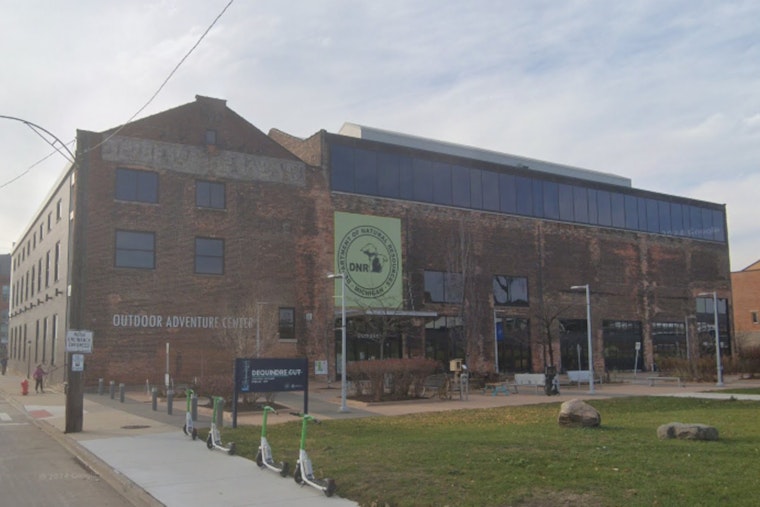 Michigan DNR Releases Tree Selection Guide to Enhance Urban Landscapes