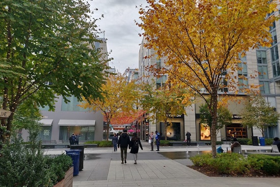 Mild Autumn Weather and Partly Sunny Skies Greet Washington D.C. in November