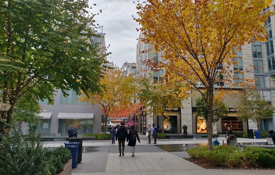 Mild Autumn Weather and Partly Sunny Skies Greet Washington D.C. in November