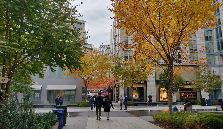 Mild Autumn Weather and Partly Sunny Skies Greet Washington D.C. in November