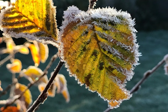 Milwaukee Shivers Under Winter Weather Advisory, NWS Reports Lake Effect Snow and Cold Blast
