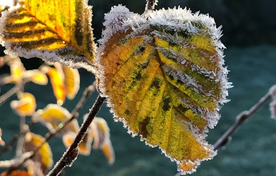 Milwaukee Shivers Under Winter Weather Advisory, NWS Reports Lake Effect Snow and Cold Blast