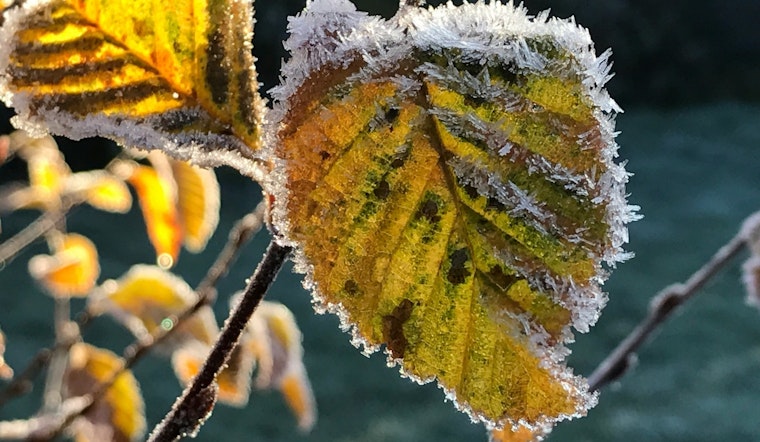 Milwaukee Shivers Under Winter Weather Advisory, NWS Reports Lake Effect Snow and Cold Blast